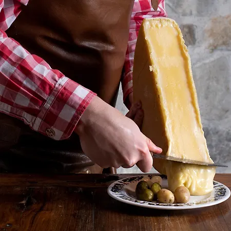 Отель Olympic - Montana Center 3*