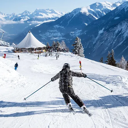 Olympic - Montana Center Отель 3*