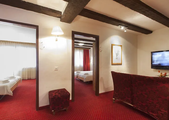 奥林匹克酒店 - 蒙大拿中心 3* 克莱恩 蒙塔纳