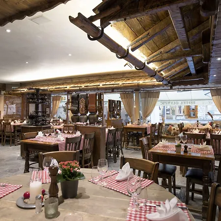 Olympic - Montana Center Hotell 3*