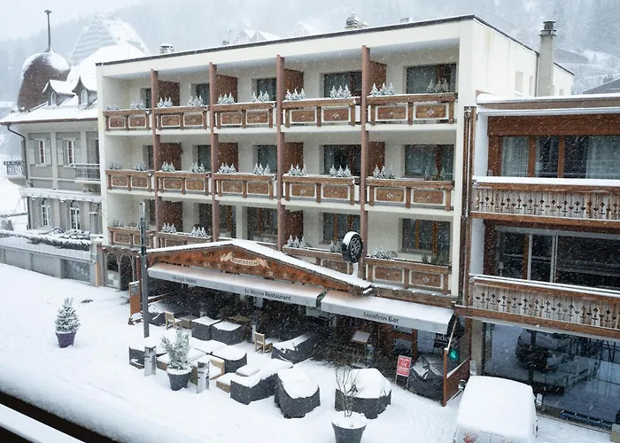 Отель Olympic - Montana Center 3*